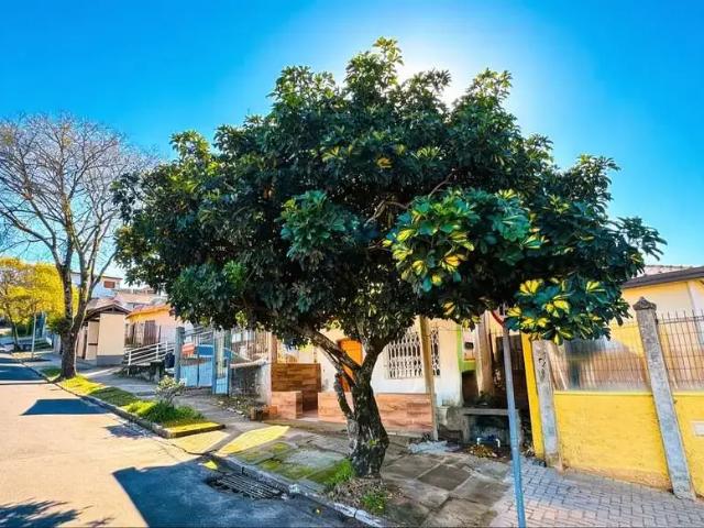 Terreno venda em Região Geográfica Imediata de Novo Hamburgo - São Leopoldo, Região Metropolitana de Porto Alegre