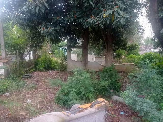 Terreno venda em Região Geográfica Imediata de Novo Hamburgo - São Leopoldo, Região Metropolitana de Porto Alegre