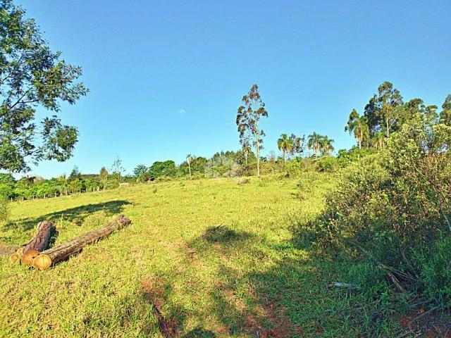 Terreno venda em Região Geográfica Imediata de Taquara - Parobé - Igrejinha, Região Metropolitana de Porto Alegre