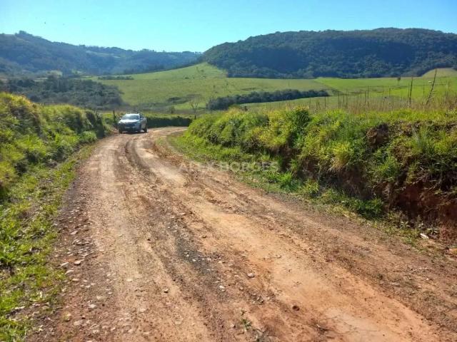 Terreno venda em Região Geográfica Imediata de Novo Hamburgo - São Leopoldo, Região Metropolitana de Porto Alegre