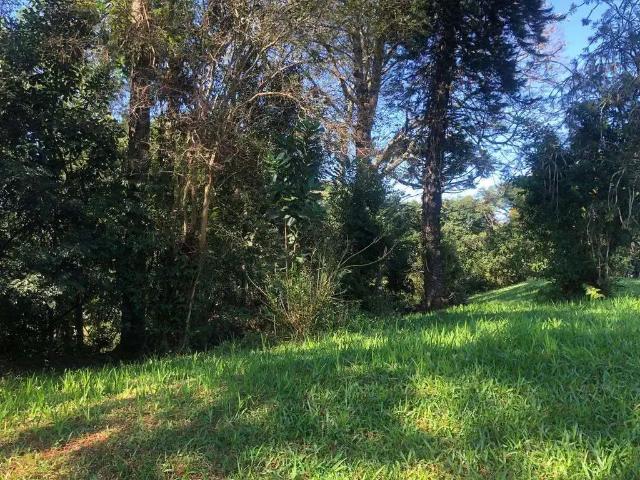 Terreno venda em Região Geográfica Imediata de Novo Hamburgo - São Leopoldo, Região Metropolitana de Porto Alegre
