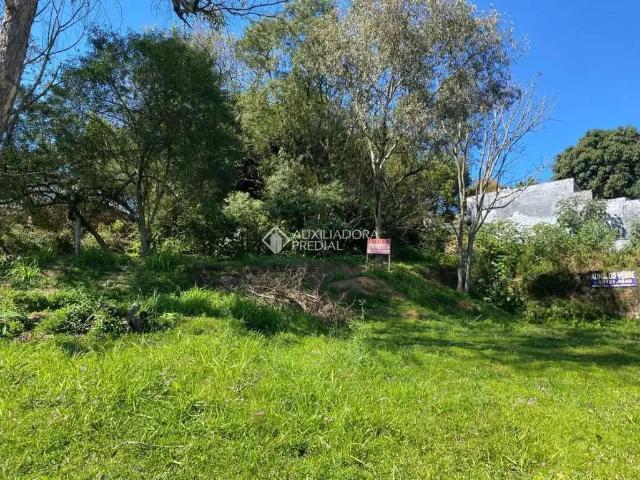Terreno venda em Novo Hamburgo