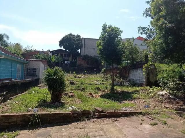 Terreno venda em Novo Hamburgo