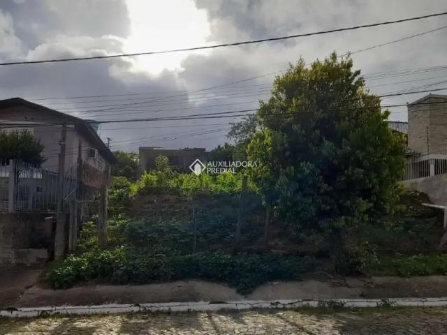 Terreno venda em Região Geográfica Imediata de Novo Hamburgo - São Leopoldo, Região Metropolitana de Porto Alegre