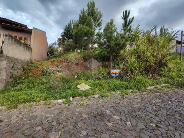 Terreno venda em Região Geográfica Imediata de Novo Hamburgo - São Leopoldo, Região Metropolitana de Porto Alegre