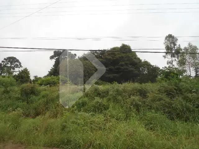 Terreno venda em Região Geográfica Imediata de Novo Hamburgo - São Leopoldo, Região Metropolitana de Porto Alegre