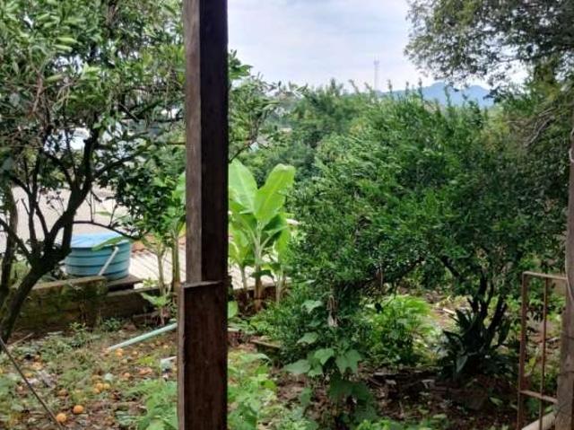 Terreno venda em Região Geográfica Imediata de Novo Hamburgo - São Leopoldo, Região Metropolitana de Porto Alegre