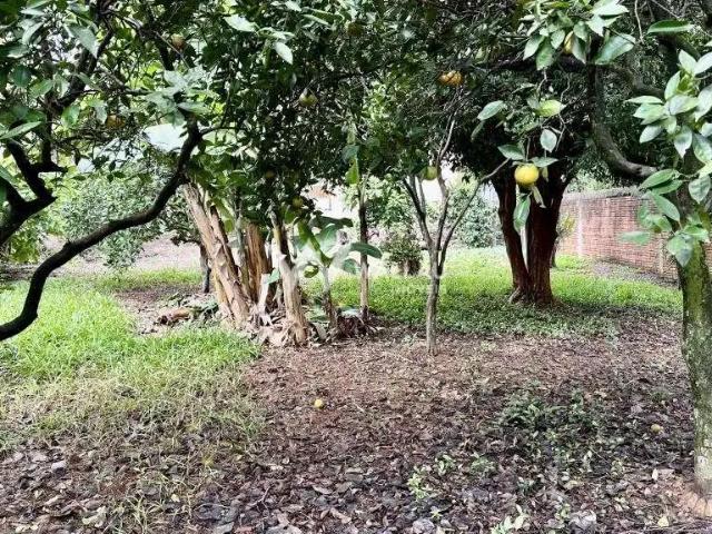 Terreno venda em Região Geográfica Imediata de Novo Hamburgo - São Leopoldo, Região Metropolitana de Porto Alegre
