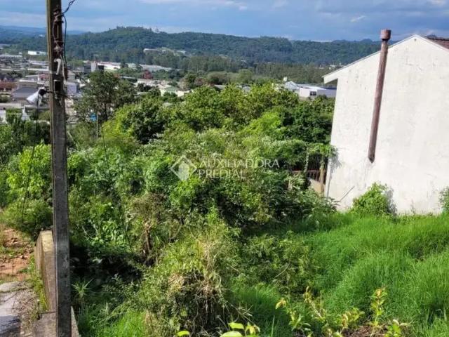Terreno venda em Região Geográfica Imediata de Novo Hamburgo - São Leopoldo, Região Metropolitana de Porto Alegre
