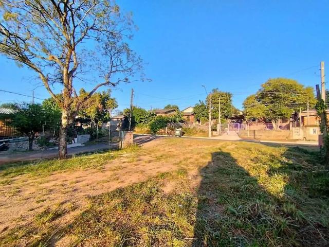 Terreno venda em Novo Hamburgo