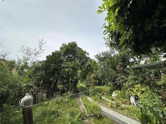 Terreno venda em Região Geográfica Imediata de Novo Hamburgo - São Leopoldo, Região Metropolitana de Porto Alegre