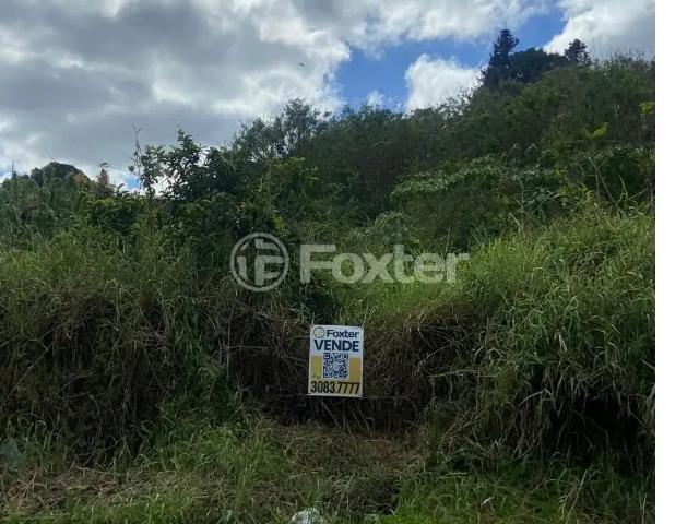 Terreno venda em Novo Hamburgo