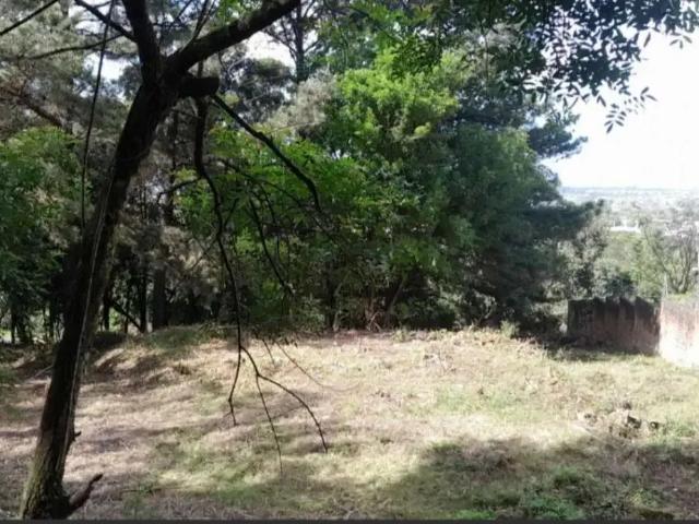 Terreno venda em Região Geográfica Imediata de Novo Hamburgo - São Leopoldo, Região Metropolitana de Porto Alegre