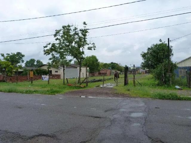 Terreno venda em Região Geográfica Imediata de Novo Hamburgo - São Leopoldo, Região Metropolitana de Porto Alegre