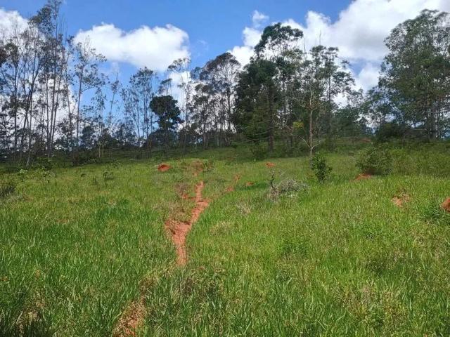 Terreno venda em Região Geográfica Imediata de Oliveira, Oliveira