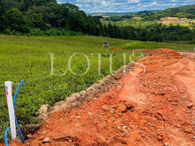 Terreno venda em Osasco, Região Geográfica Intermediária de São Paulo