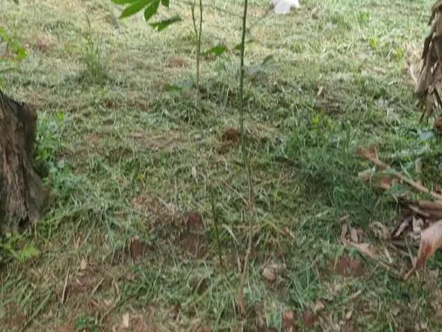 Terreno venda em Região Imediata de São Paulo, Região Metropolitana de São Paulo