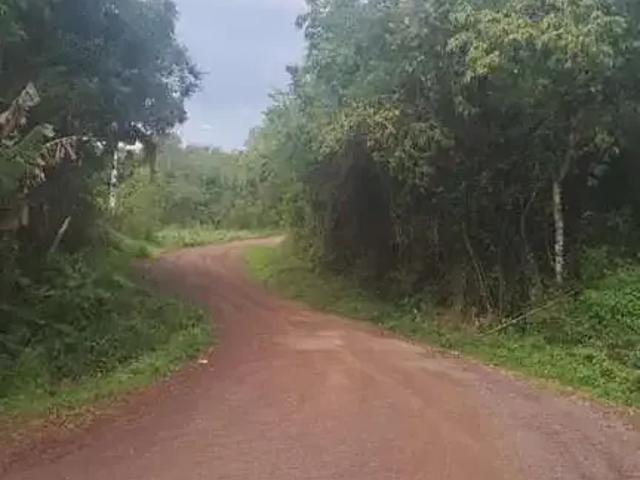 Terreno venda em Região Geográfica Imediata de Tramandaí - Osório, Aglomeração Urbana do Litoral Norte