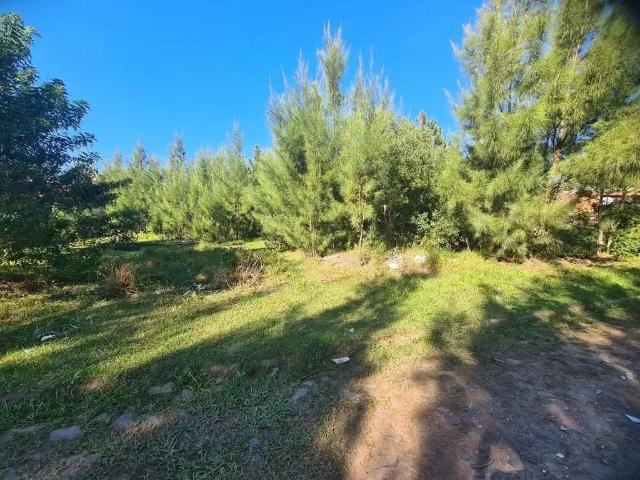 Terreno venda em Região Geográfica Imediata de Tramandaí - Osório, Aglomeração Urbana do Litoral Norte