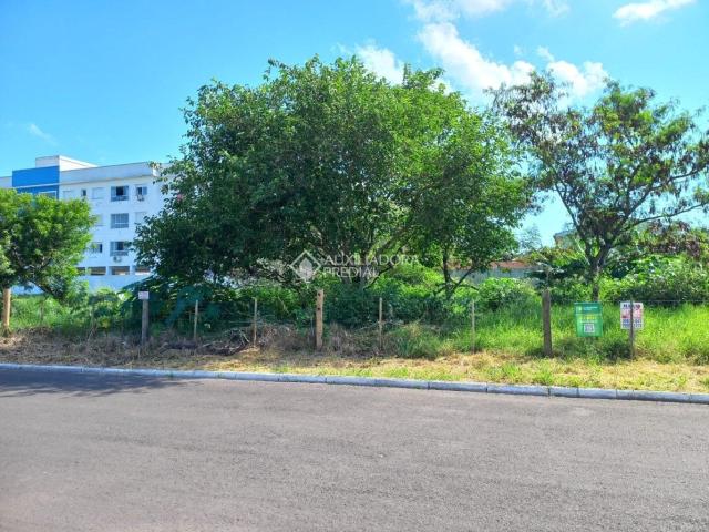 Terreno venda em Caiu do Céu, Osório