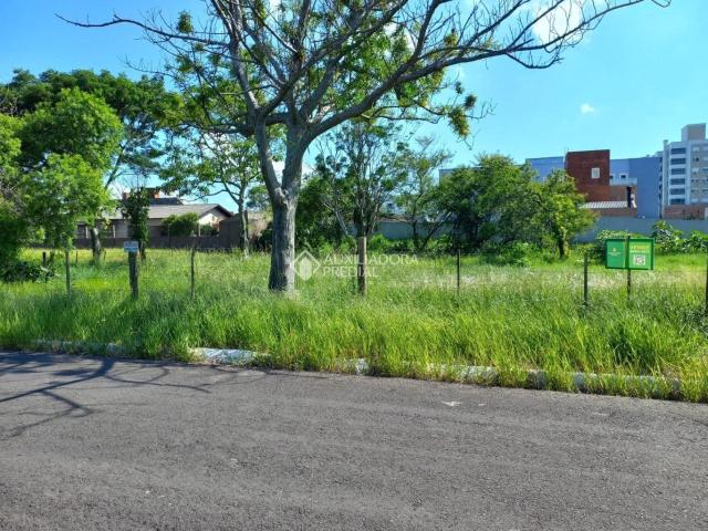Terreno venda em Caiu do Céu, Osório