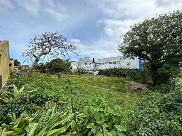 Terreno venda em Caiu do Céu, Osório