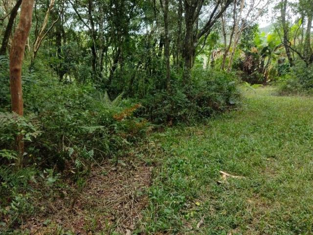 Terreno venda em Borússia, Osório