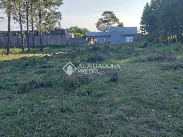Terreno venda em Osório
