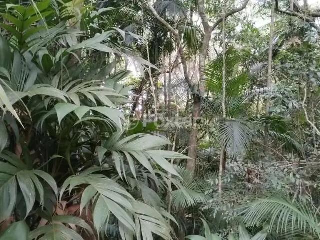Terreno venda em Região Geográfica Imediata de Tramandaí - Osório, Aglomeração Urbana do Litoral Norte