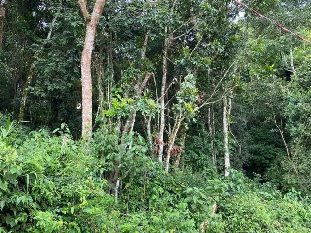 Terreno venda em Região Geográfica Imediata de Conselheiro Lafaiete, Ouro Branco