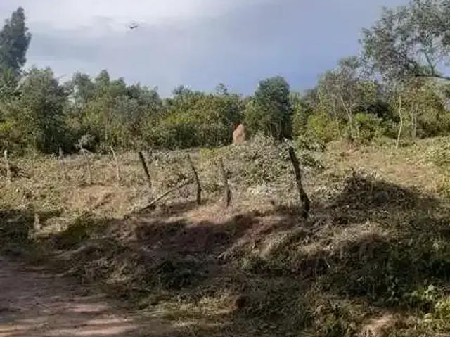 Terreno venda em Região Geográfica Imediata de Santa Bárbara - Ouro Preto, Ouro Preto