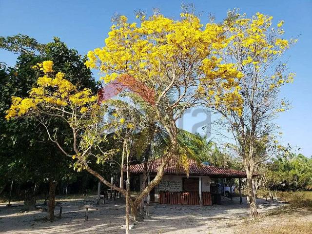Terreno venda em Paço do Lumiar, Região Geográfica Intermediária de São Luís