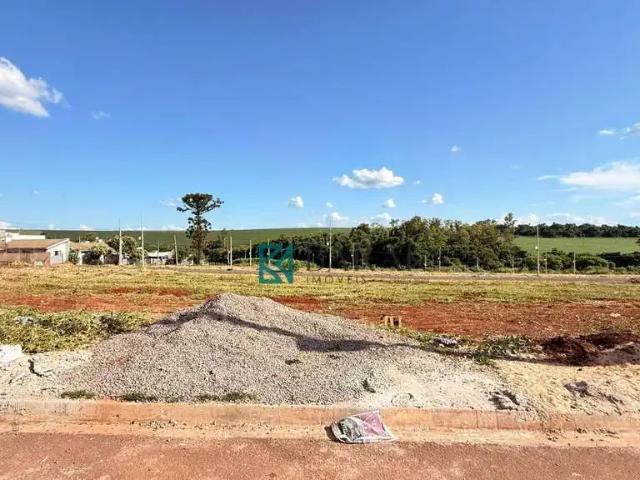 Terreno venda em Região Geográfica Imediata de Maringá, Paiçandu