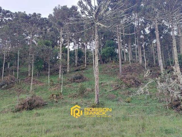 Terreno venda em Galafre, Painel