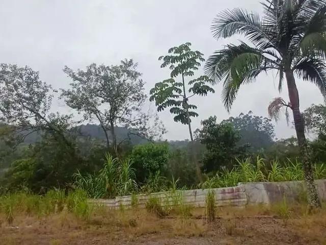 Terreno venda em Região Geográfica Imediata de Florianópolis, Palhoça