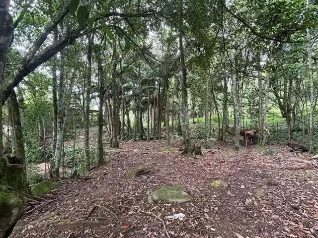 Terreno venda em Região Geográfica Imediata de Florianópolis, Palhoça