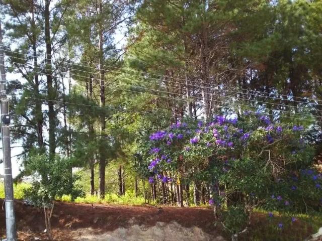 Terreno venda em Região Geográfica Imediata de Florianópolis, Palhoça
