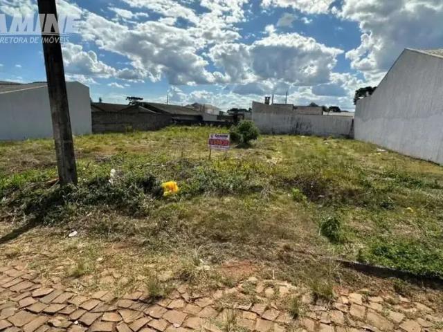 Terreno venda em Região Geográfica Imediata de Pato Branco, Palmas