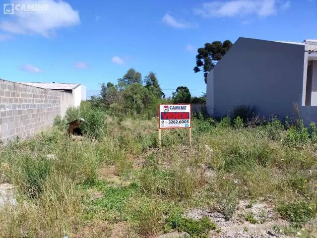 Terreno venda em Região Geográfica Imediata de Pato Branco, Palmas