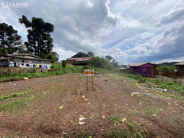 Terreno venda em Palmas, Região Geográfica Intermediária de Cascavel
