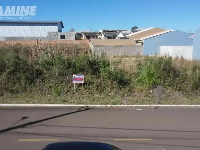 Terreno venda em Região Geográfica Imediata de Pato Branco, Palmas