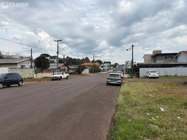Terreno venda em Região Geográfica Imediata de Pato Branco, Palmas