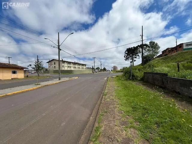 Terreno venda em Região Geográfica Imediata de Pato Branco, Palmas