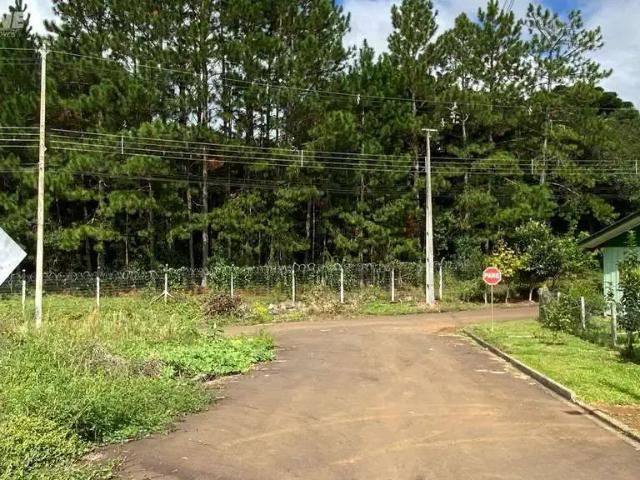 Terreno venda em Região Geográfica Imediata de Pato Branco, Palmas