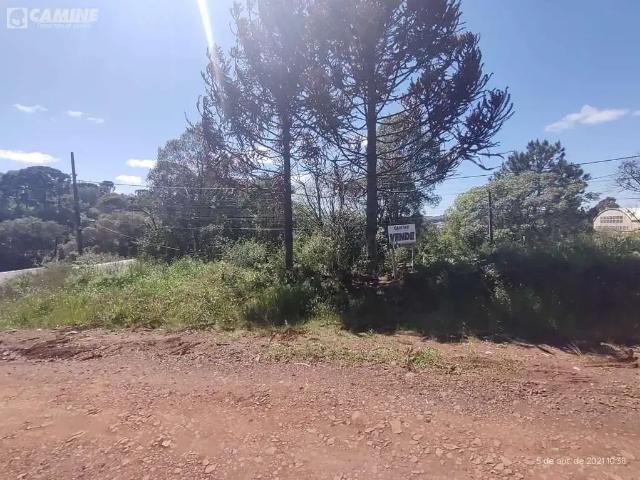 Terreno venda em Região Geográfica Imediata de Pato Branco, Palmas