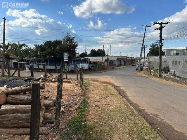 Terreno venda em Região Geográfica Imediata de Pato Branco, Palmas