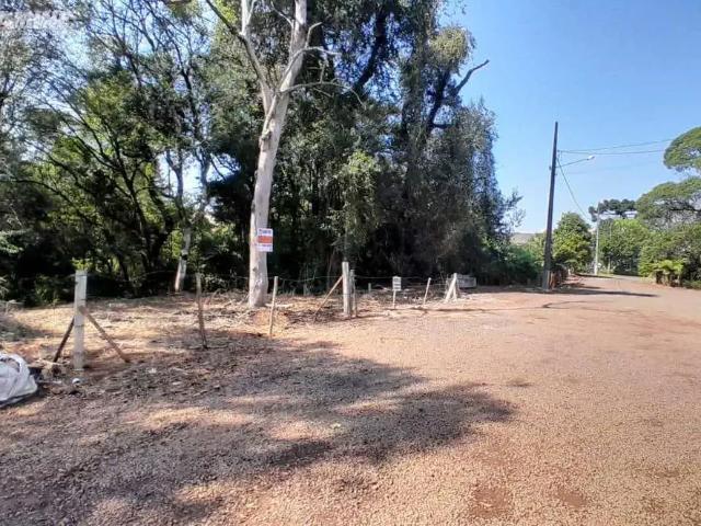 Terreno venda em Região Geográfica Imediata de Pato Branco, Palmas