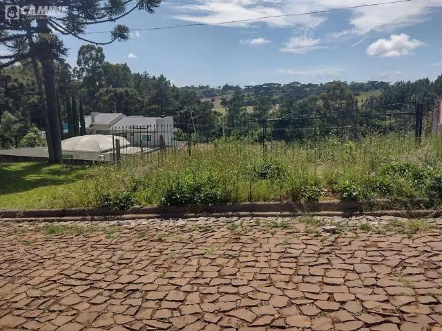 Terreno venda em Região Geográfica Imediata de Pato Branco, Palmas