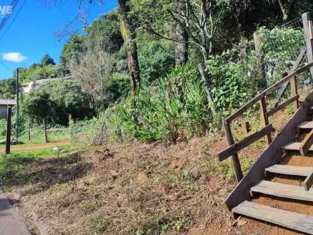 Terreno venda em Região Geográfica Imediata de Pato Branco, Palmas