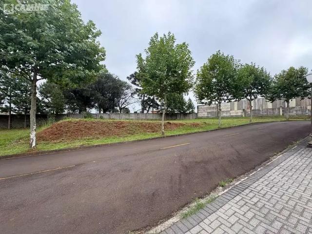 Terreno venda em Região Geográfica Imediata de Pato Branco, Palmas